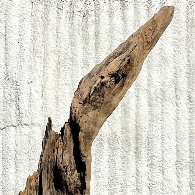 Late 20th Century Driftwood Sculpture on Steel Plinth For Sale In West Palm - Image 6 of 13
