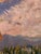 Summer Breeze - Oil on Canvas 18x24" Impressionist For Sale - Image 4 of 4