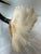 Gabriella Binazzi Bird With Shell Sculpture, Circa 1970's For Sale - Image 12 of 12