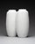 Op-Art Bisque Porcelain Vases with Crocodile Reptile Relief by Manfred Frey for AK Kaiser, 1960s, Set of 2 For Sale - Image 4 of 18