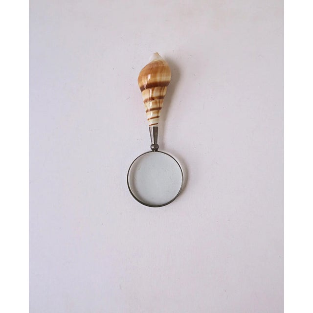 Tan Magnifying Glass Seashell Handle For Sale - Image 8 of 13