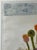 White Limited Edition Signed Engraving by Vicente Gandia of Mexico For Sale - Image 8 of 9