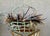 Rustic Rustic Chic Late 20th-Century Whimsical Crimped Steel Planter Basket For Sale - Image 3 of 18