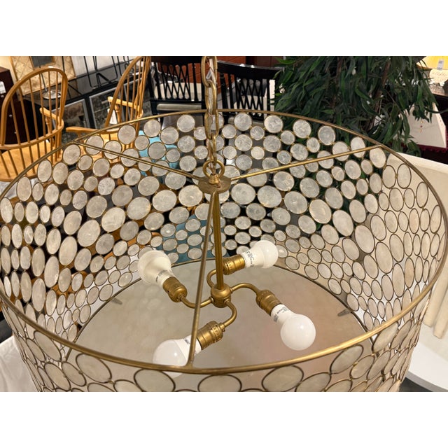 Shell Oly Studio Serena Drum Chandelier For Sale - Image 7 of 16