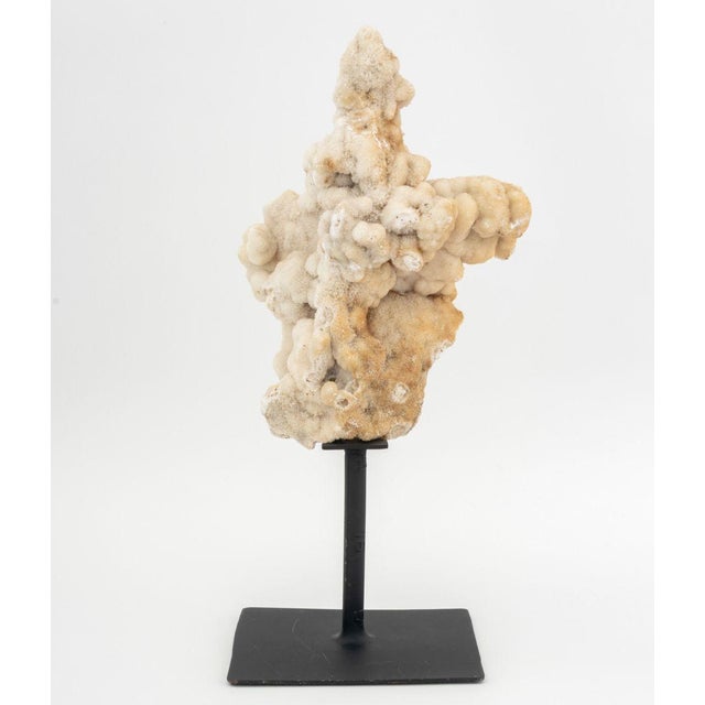 Druzy Quartz Crystal Mineral Specimen For Sale In New York - Image 6 of 6