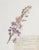 Custom Framed Vintage Finnish Herbarium Botanical Specimens - Set of Four For Sale In Houston - Image 6 of 18