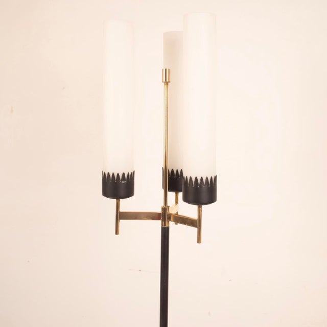 3-Armed Floor Lamp from Stilnovo, 1950s For Sale - Image 14 of 15