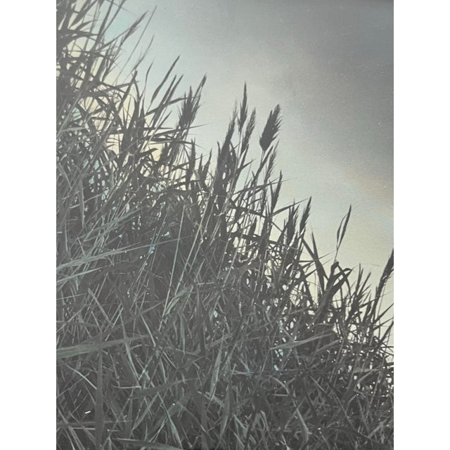 1980s Vintage Art Photo Waterscape Coastline Signed 1980s For Sale - Image 5 of 6