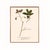 Antique Botanical Set in Oxblood - Set of 8 16" X 20" For Sale - Image 9 of 11