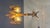 Rustic Oak and Murano Glass Floor Lamp, 1960s For Sale - Image 6 of 14