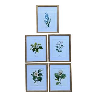 Vintage Botanical Floral Prints in Wood Frames - Set of 5 For Sale