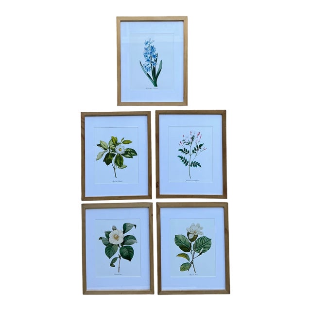 Vintage Botanical Floral Prints in Wood Frames - Set of 5 For Sale