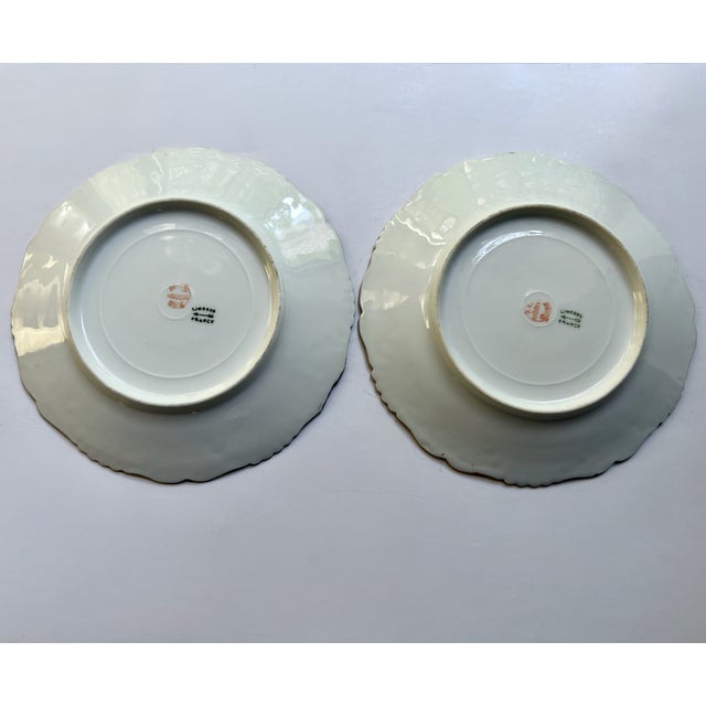 1900s Limoges Hand Painted Floral Porcelain Plates - a Pair For Sale - Image 13 of 18