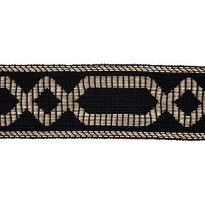 Schumacher Briar Raffia Tape in Black
