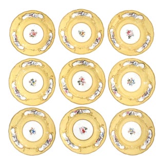 Set of 9 Hand-Painted Sevres-Style Porcelain Small Plates With Flowers & Birds For Sale