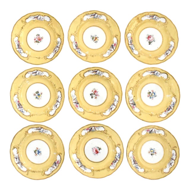 Set of 9 Hand-Painted Sevres-Style Porcelain Small Plates With Flowers & Birds For Sale
