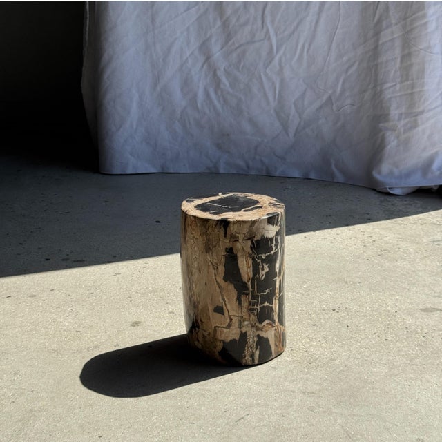 Small Side Table in Petrified Wood, Black Heartwood, Bark with Black and Beige Streaks, 1980s For Sale - Image 11 of 18