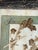 Vintage Herbarium, Florence, 1941 For Sale - Image 6 of 10