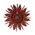 Vintage Convex Sunburst Mirror in Gilt Wood, 1950s For Sale - Image 15 of 17