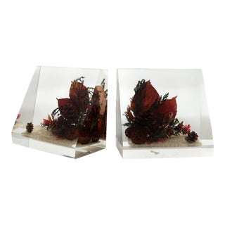 Vintage Clearfloat Lucite Bookends For Sale