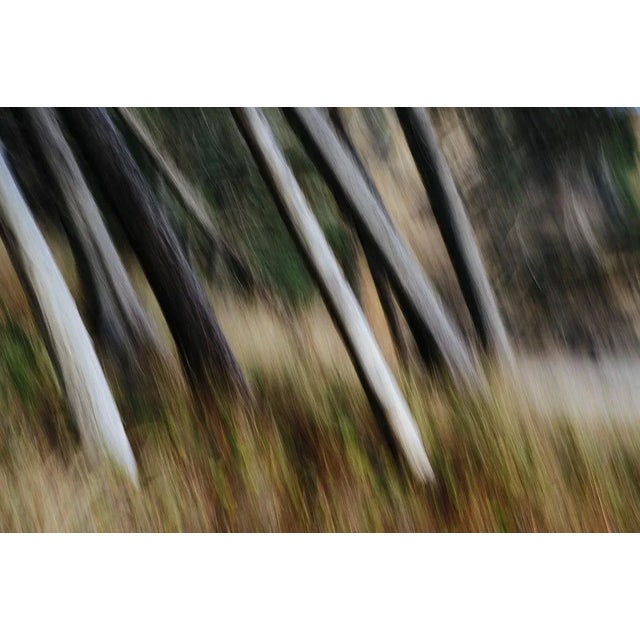 Mint Images, Arcadia Beach State Park, Oregon, Photographic Paper, in Flawless conditions. Designed from 2000 This piece...