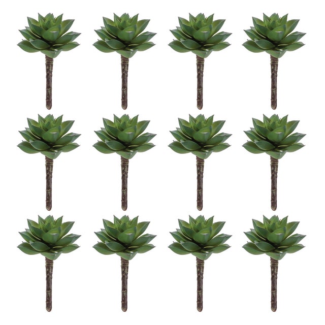 Refresh your home with the natural beauty of succulents using this Succulent Plant Pick set. Featuring variegated green...