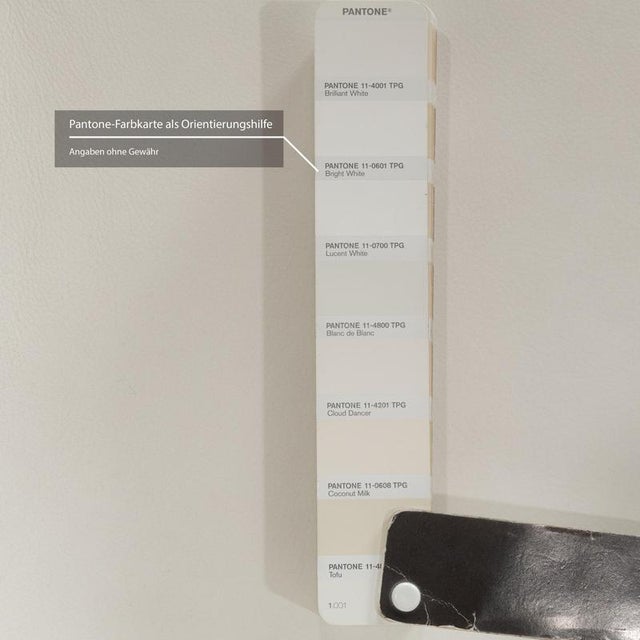 FK White Leather Armchair in White Shell Chair with Swivel Function from Walter Knoll / Wilhelm Knoll For Sale - Image 6 of 11