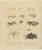 Brodtmann, Fleas, Tarantula & Spiders, 1816, Lithograph For Sale - Image 3 of 11