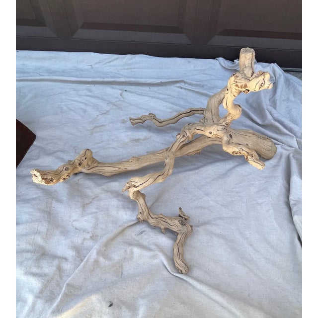 【小枝♪】Pottery Barn☆Dried Grapewoodオブジェ Pottery Barn Dried Grapewood Branch Driftwood Display Item