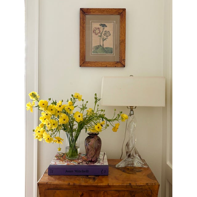 19th Century English Botanical Illustration Print in Antique Birds Eye Maple Frame #2 of 2 Available ORIGIN: England DATE:...