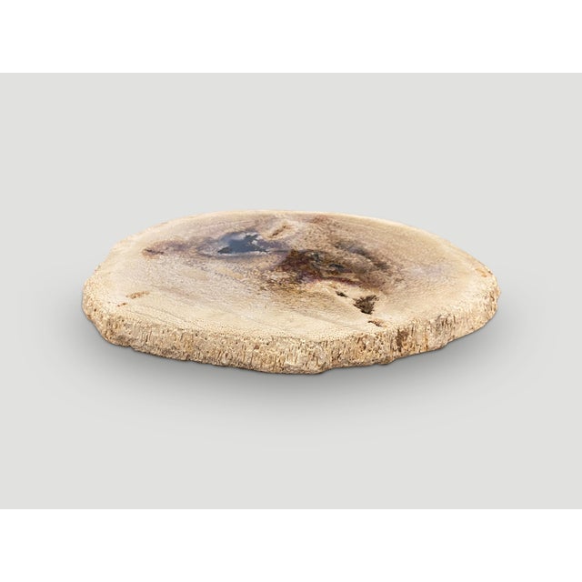 Contemporary Andrianna Shamaris Rare Palm Petrified Wood Slab For Sale - Image 3 of 5