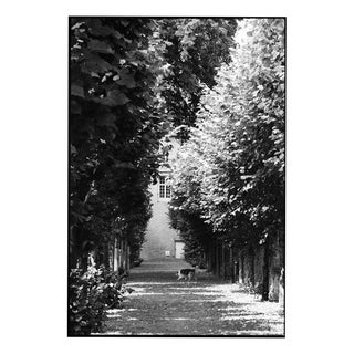 Paul Cooklin, Treeline, Edition of 50 For Sale