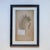 Pair of Framed Swiss Herbarium Fern Facsimile Prints, 1948 & 1953 Specimens For Sale In Las Vegas - Image 6 of 8