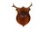 Set of 4 Vintage Mounted Deer Antlers With Leather and Brass Tacks For Sale - Image 12 of 15
