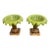 Palm Tree Compotes Las Palmas Palm Beach Style - A Pair For Sale