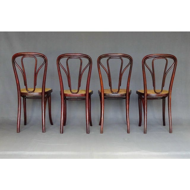 Wood Vienna Secession No. 643 Chairs by Michael Thonet for Gebrüder Thonet, 1915, Set of 4 For Sale - Image 7 of 18