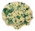 Sharland England Splatter Coquillage Shell Dish, Yellow & Verde For Sale