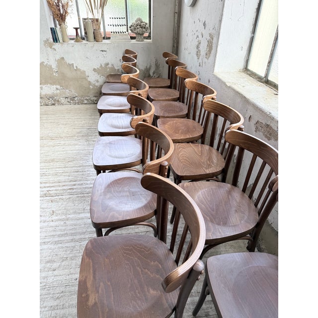 Walnut Bistro Chairs, 1970s, Set of 14 For Sale - Image 10 of 18