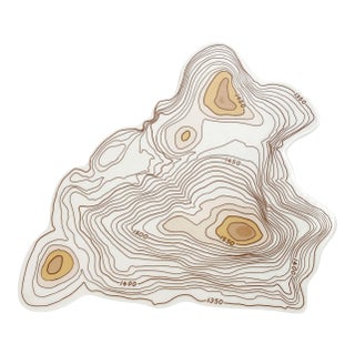 Topography Cheese Tray by Natalia Janul For Sale
