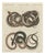 Bertuch, Four Intertwined Snakes, 1805, Print For Sale