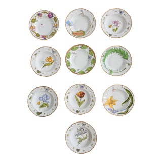 Set of 10 Anna Weatherley Botanical Treasure Garden Rim Soup Bowl 8.75" For Sale