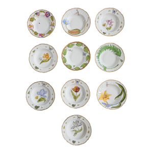 Set of 10 Anna Weatherley Botanical Treasure Garden Rim Soup Bowl 8.75"