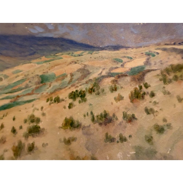 Heinrich Pforr, Juniper in the Gelster Valley, Kaufunger Forest, 1938, Watercolor For Sale - Image 10 of 13