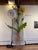 Roots and Wings features a striking mixed media composition that intertwines organic forms with a whimsical touch. The...