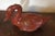 Early 20th Century Antique Chinese Red Orange Lacquer Carved Wood Duck Goose Box For Sale - Image 5 of 11