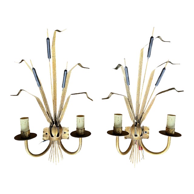 1950s Hollywood Regency Gilt Cattail Sconces, Pair For Sale