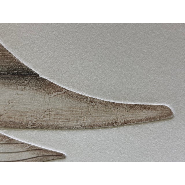 Arthur Nevin (American, B. 1929) "Whistling Swan", Decoy, 1/4 Scale, Barnegat Bay, 1910 For Sale - Image 15 of 18
