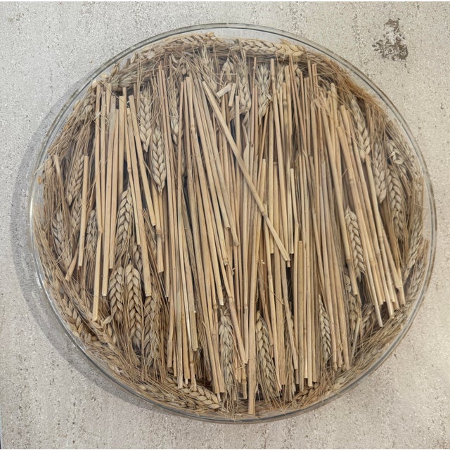 Tan Vintage Christian Dior Lucite Wheat Tray For Sale - Image 8 of 8