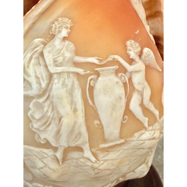 Antique Italian Cameo Relief Hand-Carved Sea Conch Shell, Nautical Coastal Decor For Sale - Image 4 of 12