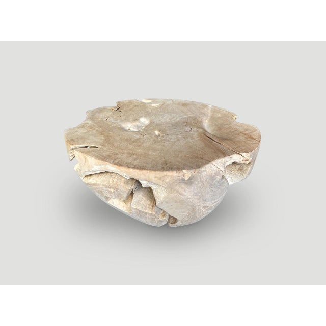 Andrianna Shamaris Organic Bleached Teak Wood Coffee Table For Sale In New York - Image 6 of 6
